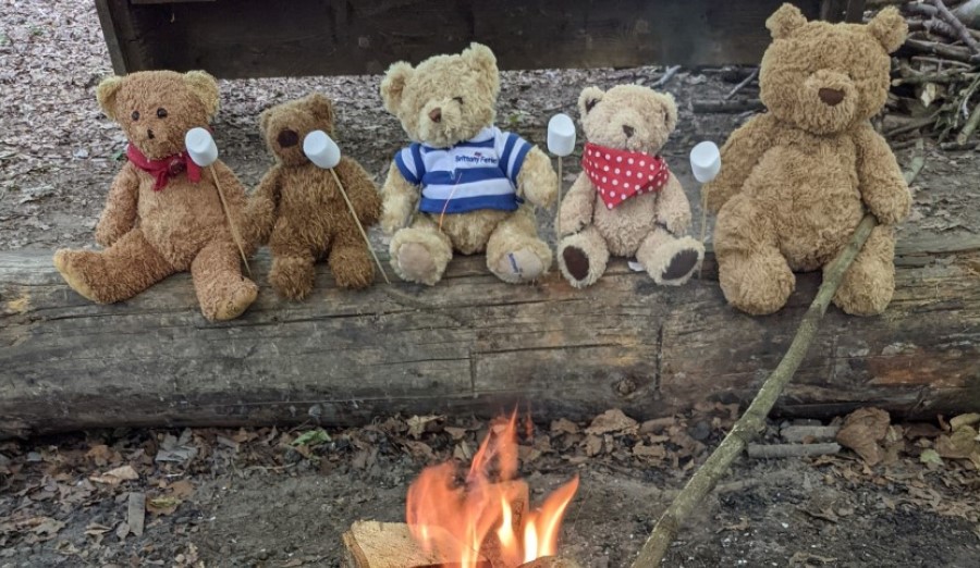 Fat Squirrel's Teddy Bears' Picnic, Campfire and Bushcraft