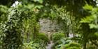 Arches of trees cover a gravel pathway in the garden