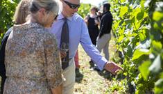 A man in a blue shirt is holding a glass of wine, pointing at grapes on a vine and talking to two ladies listen to hi